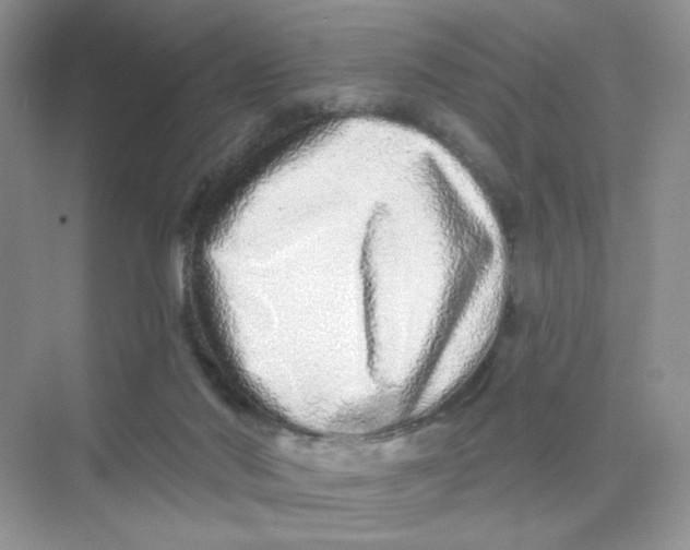 X0000075340022200609292046