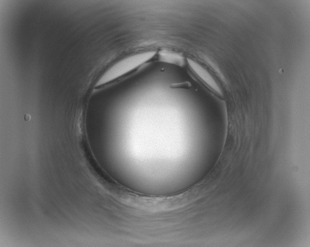 X0000075340023200609292046
