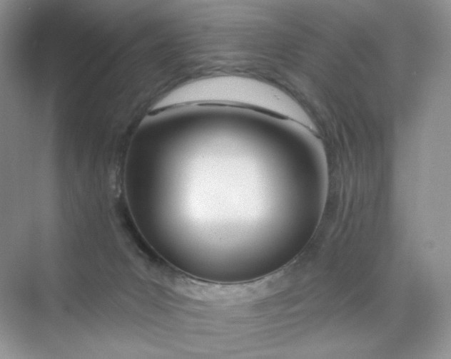 X0000075340031200609292046