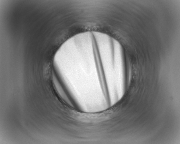 X0000075340034200609292046
