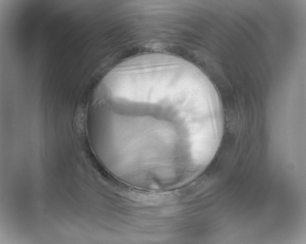 X0000075340036200609292046