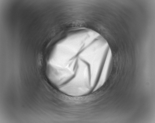 X0000075340038200609292046