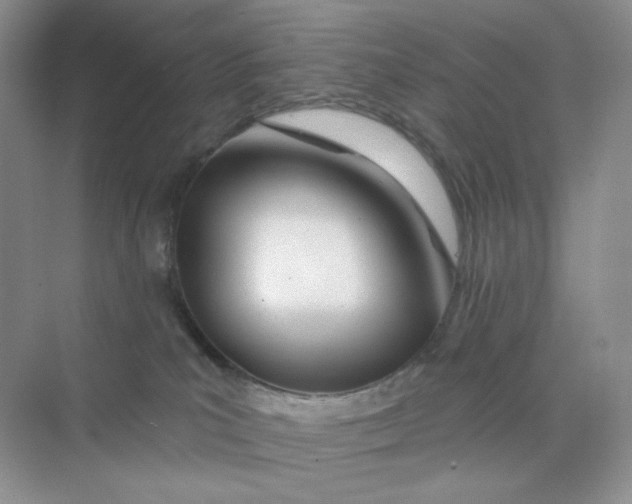 X0000075340039200609292046