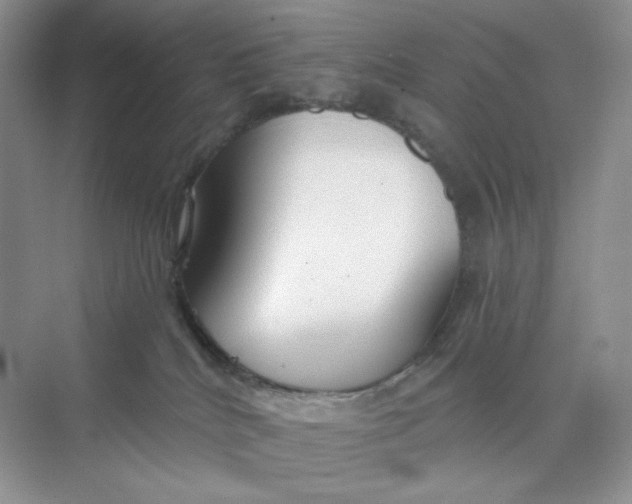 X0000075340040200609292046