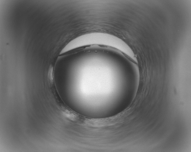 X0000075340041200609292046