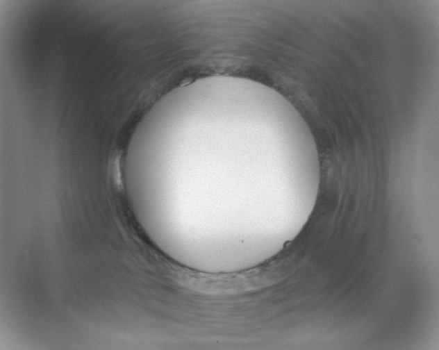 X0000075340042200609292046