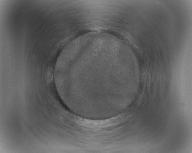 X0000075340043200609292046