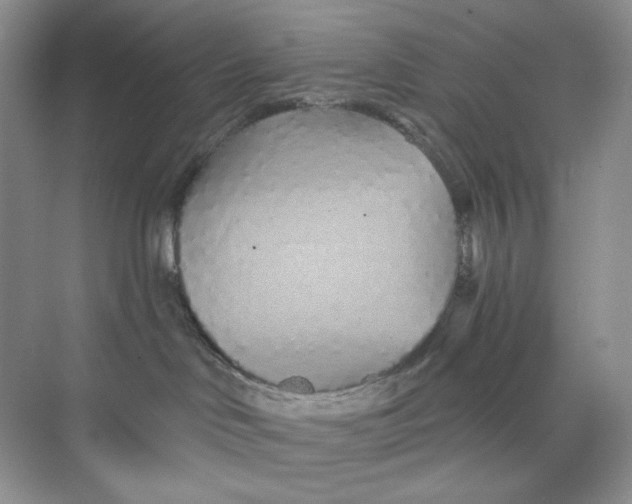 X0000075340046200609292046