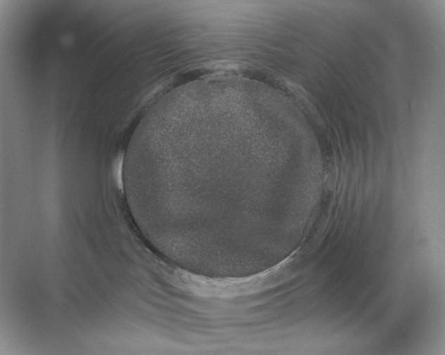 X0000075340047200609292046