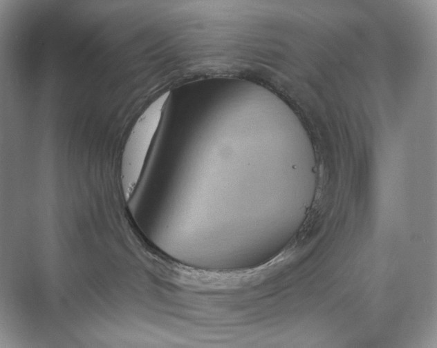X0000075340048200609292046