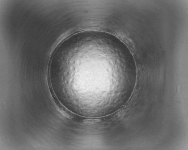 X0000075340051200609292045