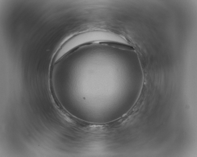 X0000075340052200609292045