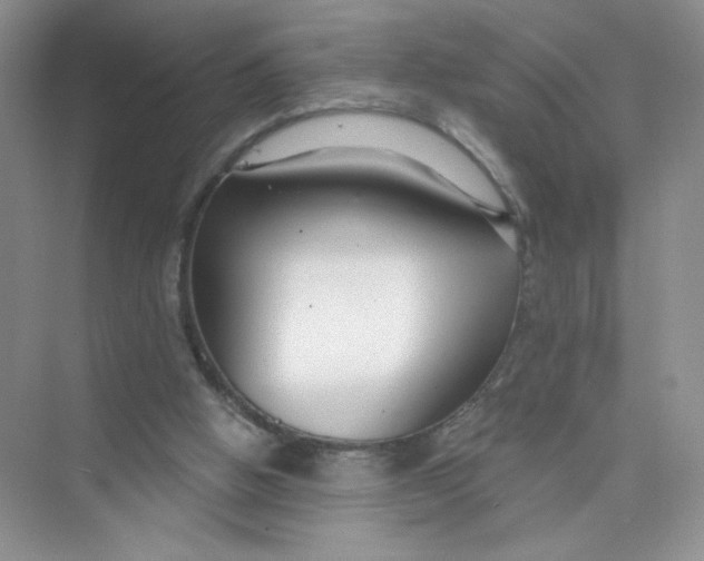 X0000075340058200609292045