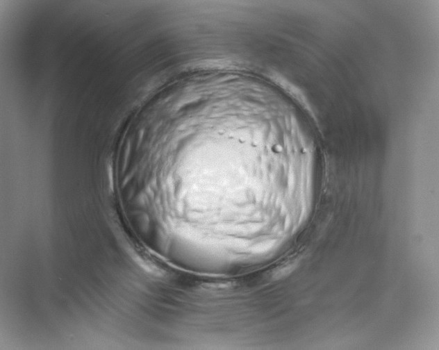 X0000075340061200609292045