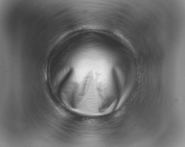 X0000075340062200609292045