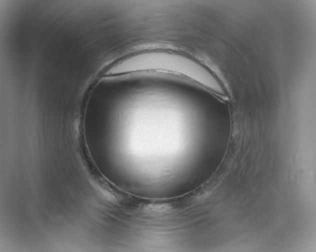 X0000075340063200609292045
