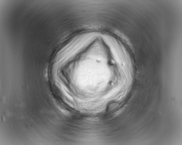 X0000075340065200609292045