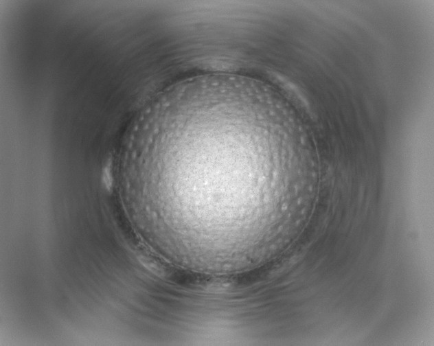 X0000075340069200609292045