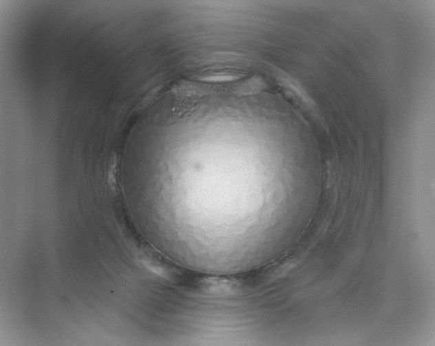 X0000075340073200609292046