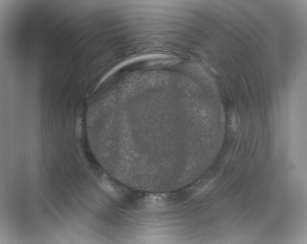 X0000075340080200609292046