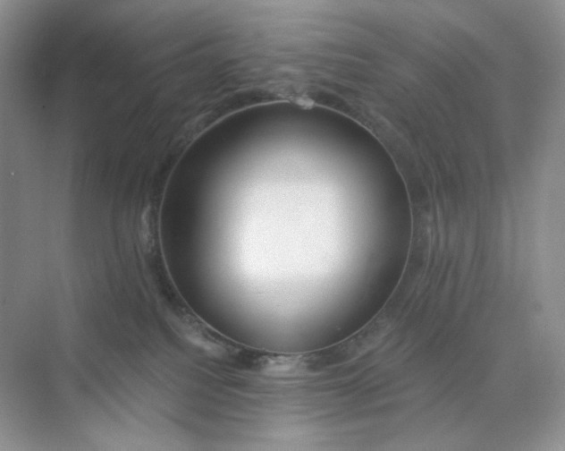 X0000075340088200609292046