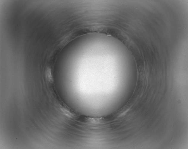 X0000075340089200609292046
