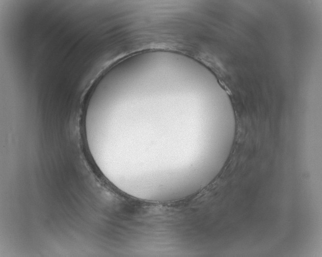 X0000075340098200609292045