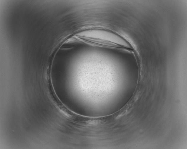 X0000075340105200609292045