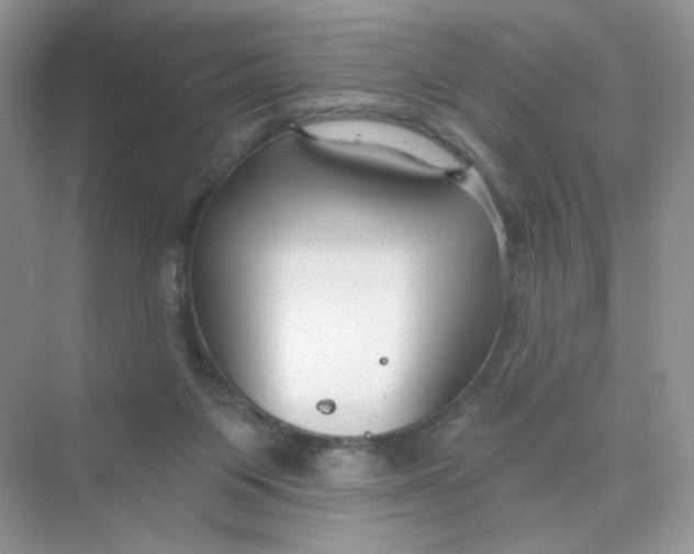 X0000075340119200609292045