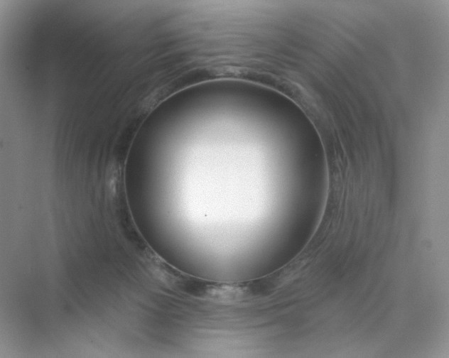 X0000075340125200609292045