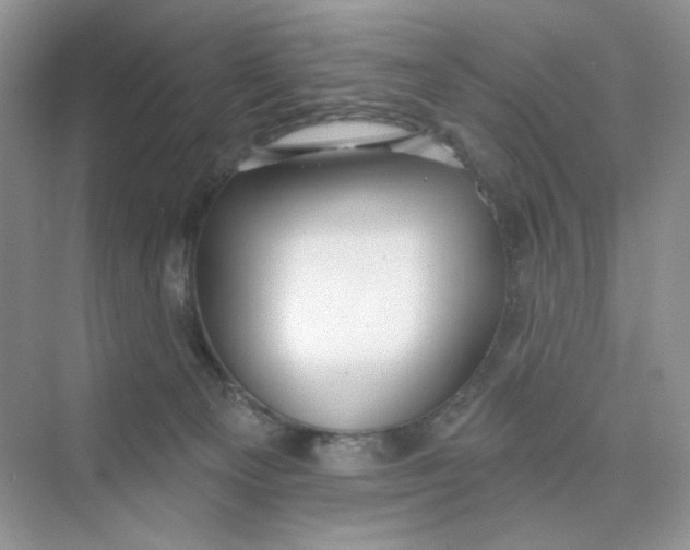 X0000075340129200609292045