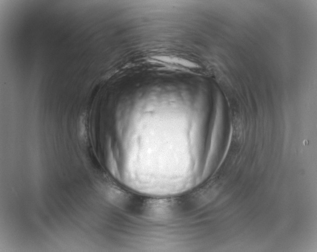 X0000075340131200609292045