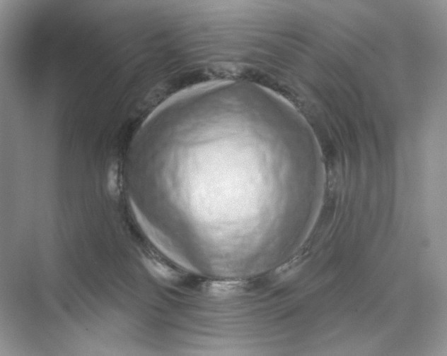 X0000075340134200609292045