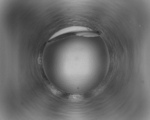X0000075340137200609292044