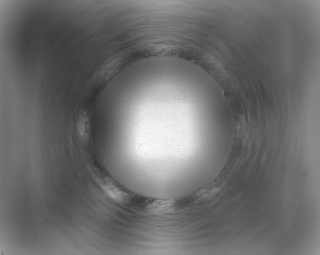 X0000075340138200609292044