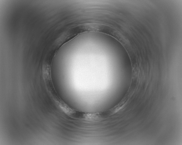 X0000075340141200609292044