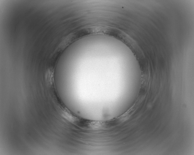 X0000075340142200609292044