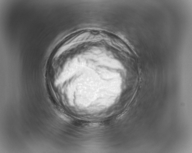 X0000075340151200609292044