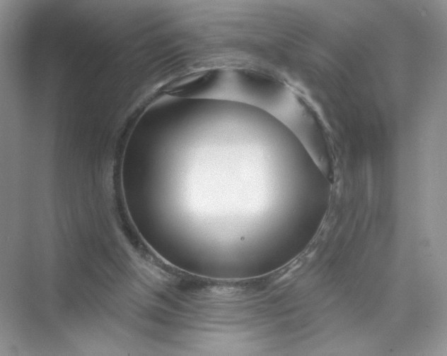 X0000075340154200609292044