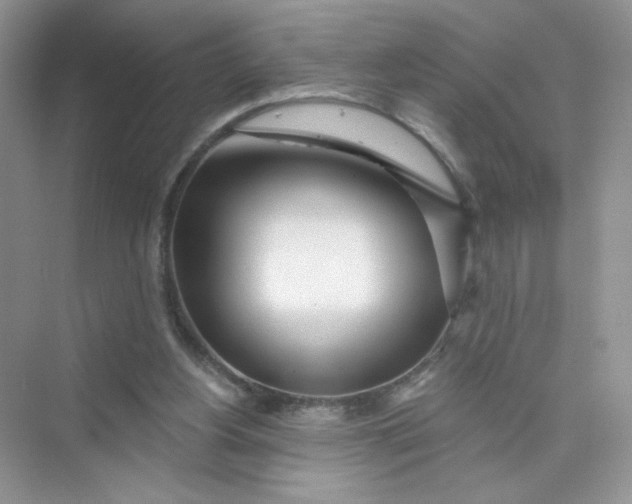 X0000075340156200609292044