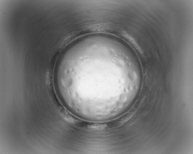 X0000075340161200609292044