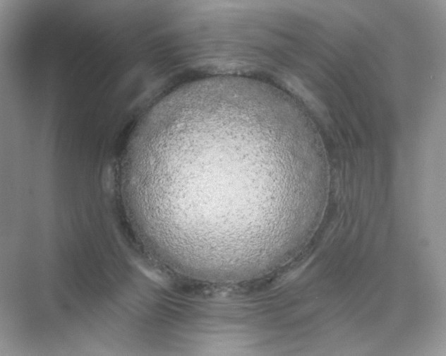 X0000075340165200609292044
