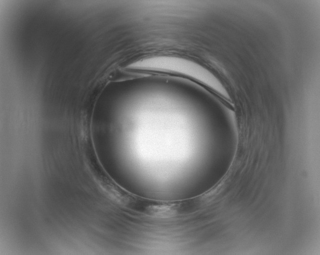 X0000075340170200609292044