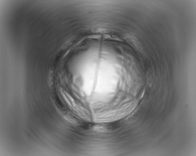 X0000075340171200609292044