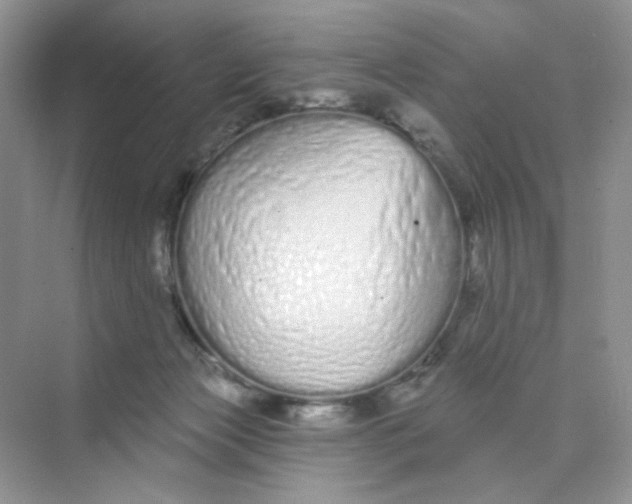 X0000075340173200609292044