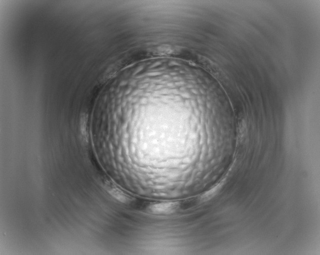 X0000075340178200609292044