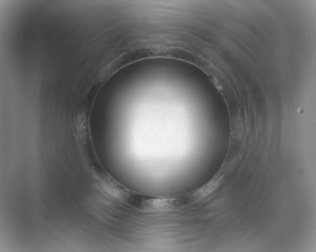 X0000075340184200609292044