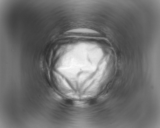 X0000075340185200609292044
