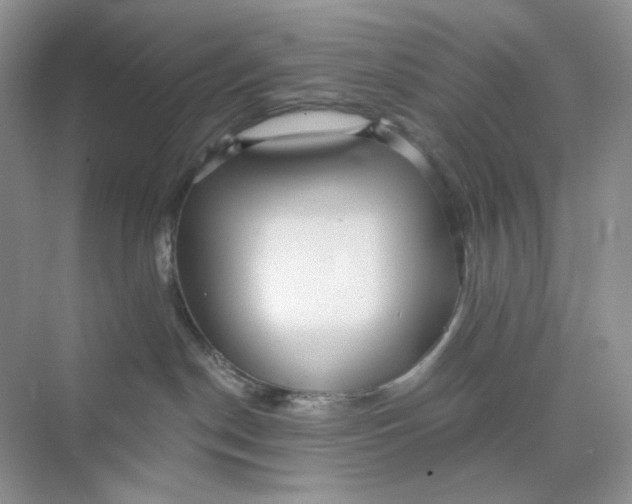 X0000075340190200609292044