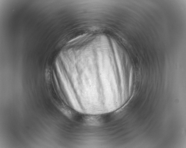 X0000075340191200609292044